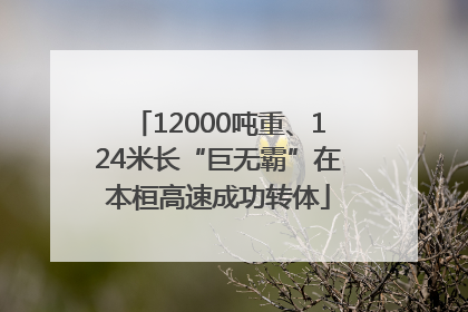 12000吨重、124米长“巨无霸”在本桓高速成功转体