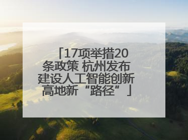 17项举措20条政策 杭州发布建设人工智能创新高地新“路径”
