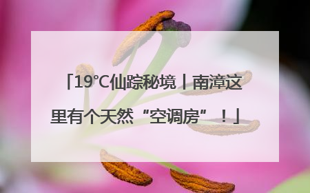 19℃仙踪秘境丨南漳这里有个天然“空调房”！