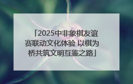 2025中非象棋友谊赛联动文化体验 以棋为桥共筑文明互鉴之路