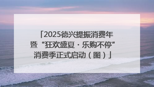 2025德兴提振消费年暨“狂欢盛夏・乐购不停”消费季正式启动（图）
