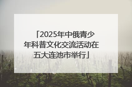 2025年中俄青少年科普文化交流活动在五大连池市举行