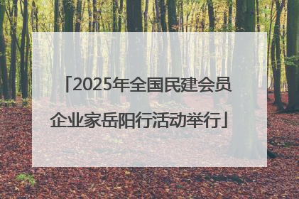 2025年全国民建会员企业家岳阳行活动举行