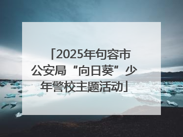 2025年句容市公安局“向日葵”少年警校主题活动