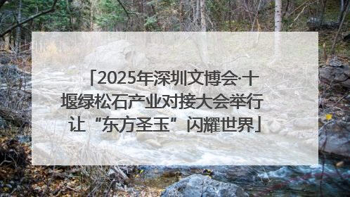 2025年深圳文博会·十堰绿松石产业对接大会举行 让“东方圣玉”闪耀世界