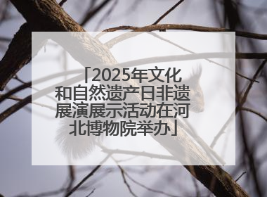 2025年文化和自然遗产日非遗展演展示活动在河北博物院举办