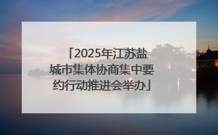 2025年江苏盐城市集体协商集中要约行动推进会举办