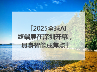 2025全球AI终端展在深圳开幕，具身智能成焦点