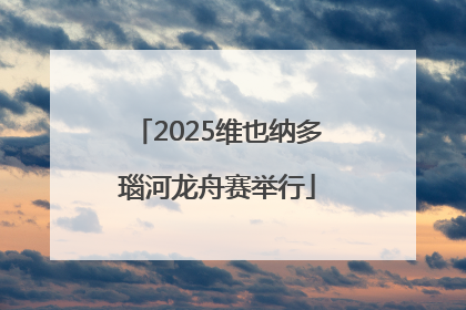 2025维也纳多瑙河龙舟赛举行
