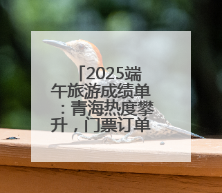 2025端午旅游成绩单：青海热度攀升，门票订单大增34%