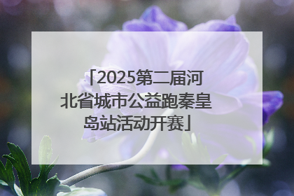 2025第二届河北省城市公益跑秦皇岛站活动开赛
