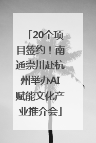 20个项目签约！南通崇川赴杭州举办AI赋能文化产业推介会