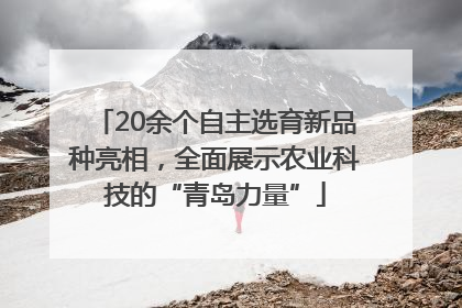 20余个自主选育新品种亮相，全面展示农业科技的“青岛力量”