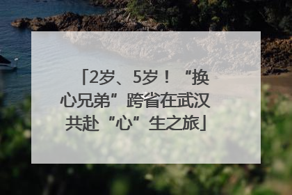 2岁、5岁！“换心兄弟”跨省在武汉共赴“心”生之旅