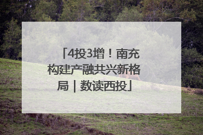 4投3增！南充构建产融共兴新格局｜数读西投