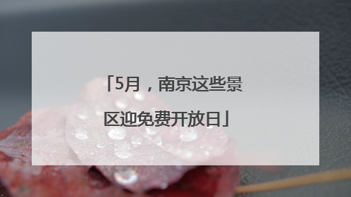 5月，南京这些景区迎免费开放日