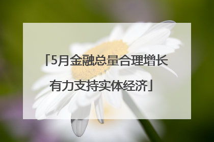 5月金融总量合理增长 有力支持实体经济