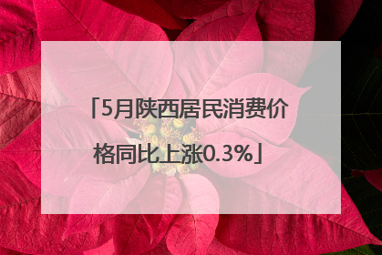 5月陕西居民消费价格同比上涨0.3%