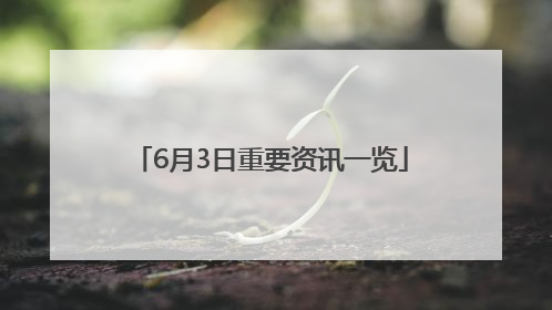 6月3日重要资讯一览