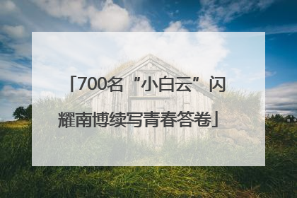 700名“小白云”闪耀南博续写青春答卷