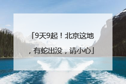 9天9起！北京这地，有蛇出没，请小心