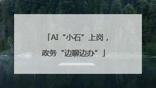 AI“小石”上岗，政务“边聊边办”
