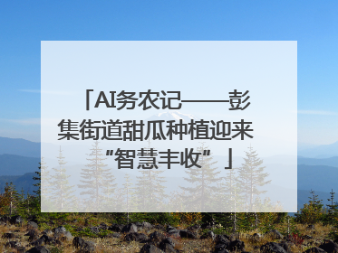 AI务农记——彭集街道甜瓜种植迎来“智慧丰收”