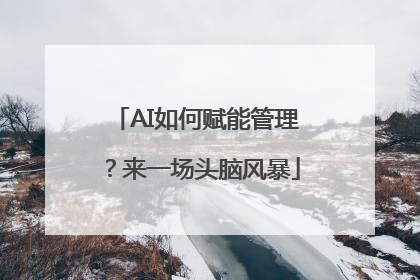 AI如何赋能管理？来一场头脑风暴