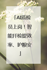 AI质检员上岗！智能扦检提效率、护粮安