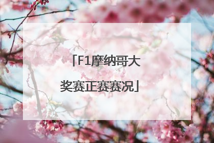 F1摩纳哥大奖赛正赛赛况